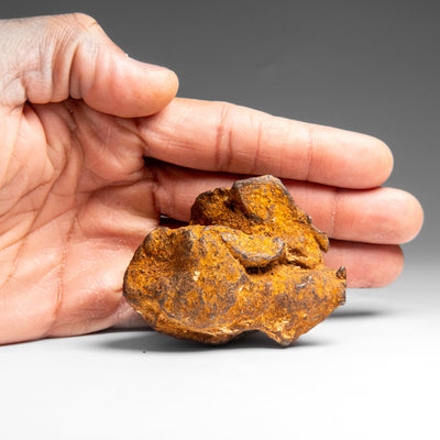 Genuine Gebel Kamil Meteorite from Egypt (360 grams) by Astro Gallery of Gems - product image 3 for Resin Society