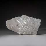 Genuine Muonionalusta Meteorite Slice (385 grams) by Astro Gallery of Gems - main product image for Resin Society