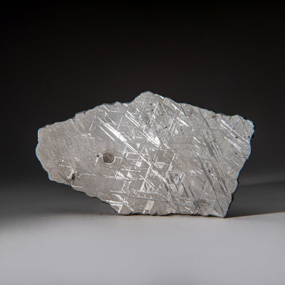 Genuine Muonionalusta Meteorite Slice (385 grams) by Astro Gallery of Gems - main product image for Resin Society