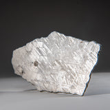 Genuine Muonionalusta Meteorite Slice (385 grams) by Astro Gallery of Gems - product image 3 for Resin Society
