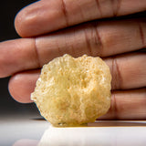 Genuine Libyan Desert Glass (31 grams)