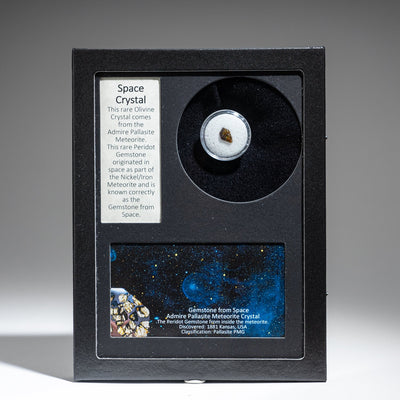 Space Crystal in Glass Display Box showing pallasite meteorite specimen with labeled card