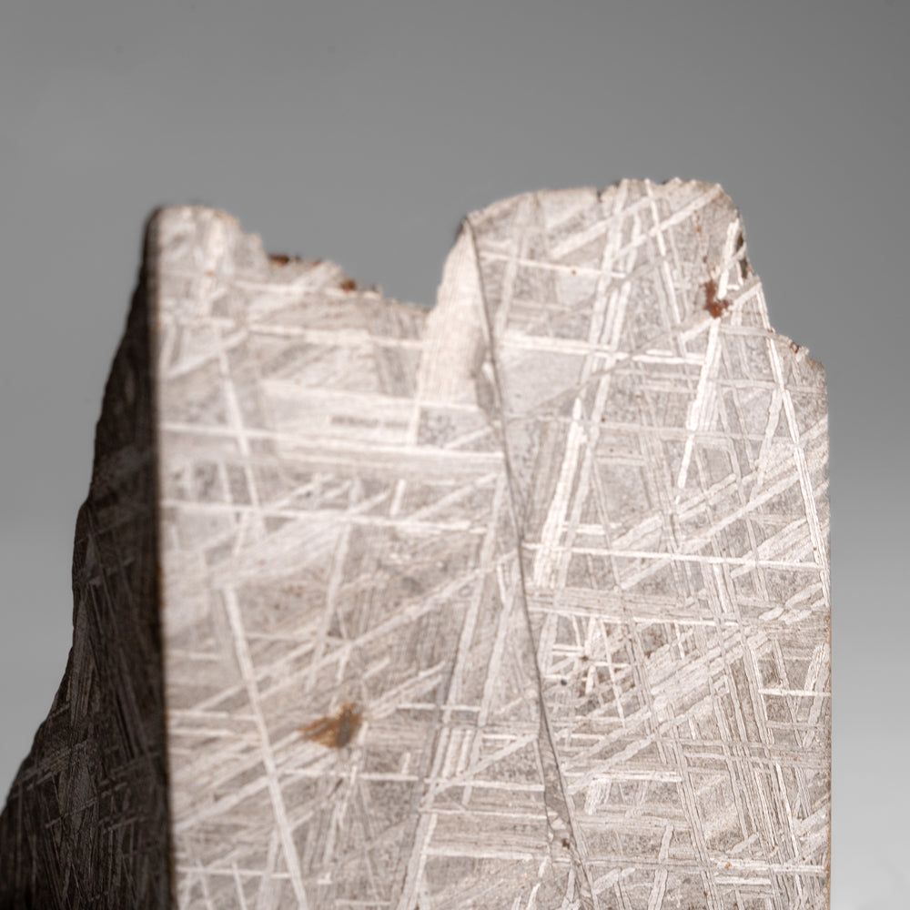 Genuine Muonionalusta Meteorite Slice (453.6 grams) by Astro Gallery of Gems - product image 7 for Resin Society