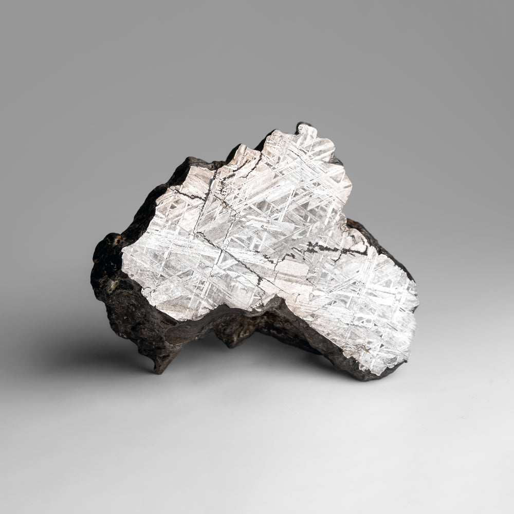 Genuine Muonionalusta Meteorite Slice (2.4 lbs) by Astro Gallery of Gems - main product image for Resin Society