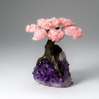 Genuine Rose Quartz clustered gemstone tree set on Amethyst crystal matrix, displaying clustered pink Rose Quartz leaves on a purple Amethyst base