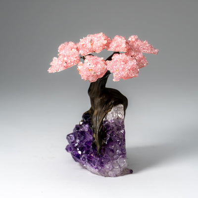 Genuine Rose Quartz Clustered Gemstone Tree on Amethyst Matrix (5 inch)(The Love Tree)