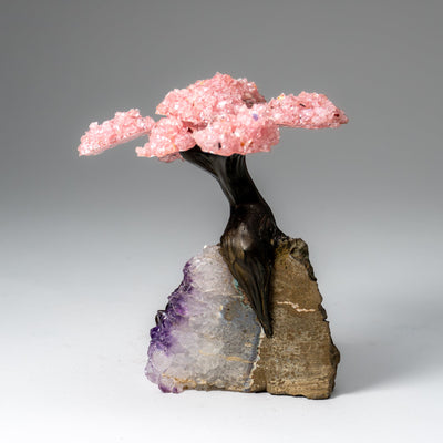 Genuine Rose Quartz Clustered Gemstone Tree on Amethyst Matrix (5 inch)(The Love Tree)