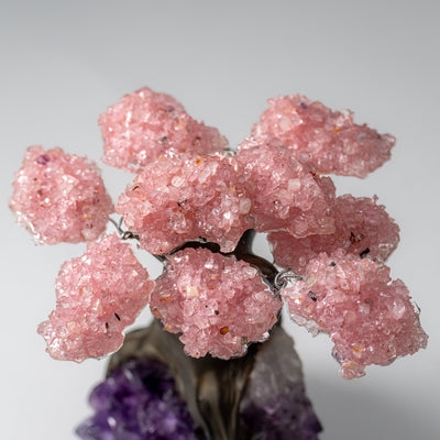Genuine Rose Quartz Clustered Gemstone Tree on Amethyst Matrix (5 inch)(The Love Tree)