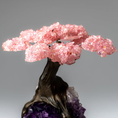 Genuine Rose Quartz Clustered Gemstone Tree on Amethyst Matrix (5 inch)(The Love Tree)