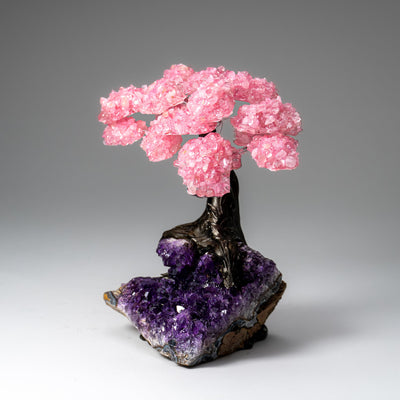 Genuine Rose Quartz Clustered Gemstone Tree on Amethyst Matrix (7 inch) (The Love Tree)