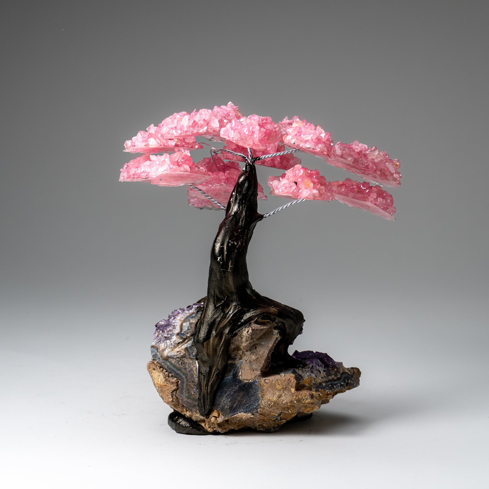 Genuine Rose Quartz Clustered Gemstone Tree on Amethyst Matrix (7 inch) (The Love Tree)