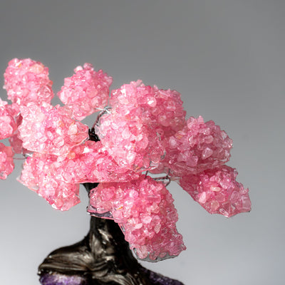 Genuine Rose Quartz Clustered Gemstone Tree on Amethyst Matrix (7 inch) (The Love Tree)