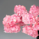 Close-up of clustered pink rose quartz gemstone formations resembling flower petals against a gray background, showing translucent and faceted crystal texture.