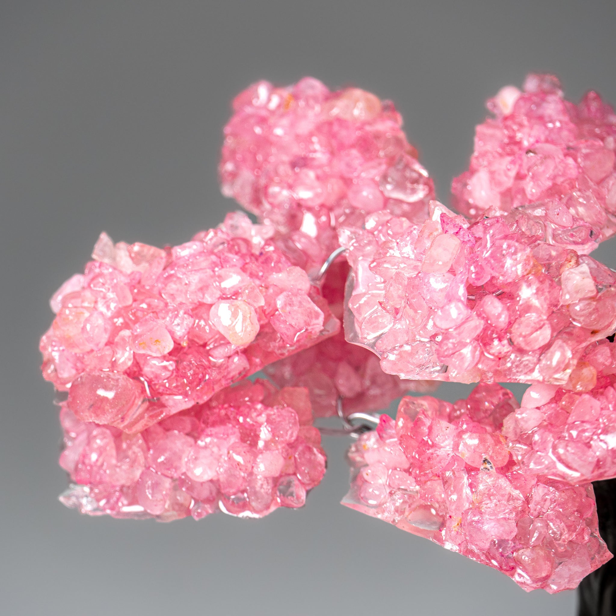 Genuine Rose Quartz Clustered Gemstone Tree on Amethyst Matrix (7 inch) (The Love Tree)