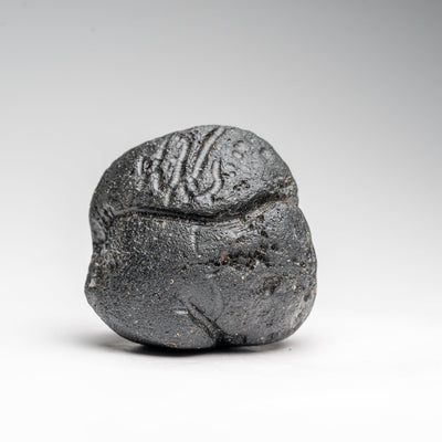 Genuine Museum Quality Indochinite Tektite (177 grams) by Astro Gallery of Gems - main product image for Resin Society