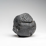 Genuine Museum Quality Indochinite Tektite (177 grams) by Astro Gallery of Gems - product image 5 for Resin Society