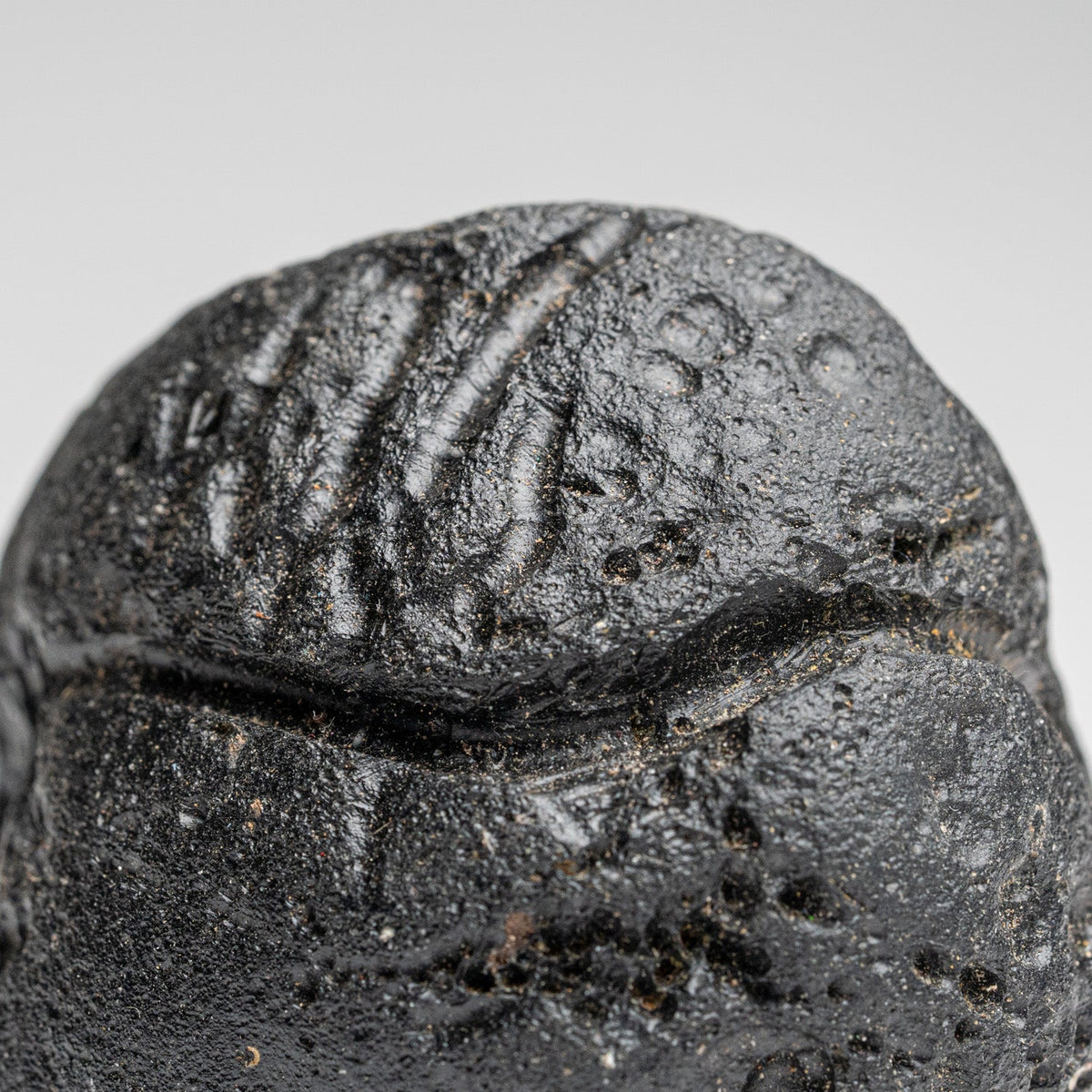 Genuine Museum Quality Indochinite Tektite (177 grams) by Astro Gallery of Gems - product image 2 for Resin Society