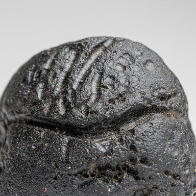 Genuine Museum Quality Indochinite Tektite (177 grams) by Astro Gallery of Gems - product image 2 for Resin Society