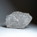 Genuine Muonionalusta Meteorite Slice (394 grams) by Astro Gallery of Gems - main product image for Resin Society