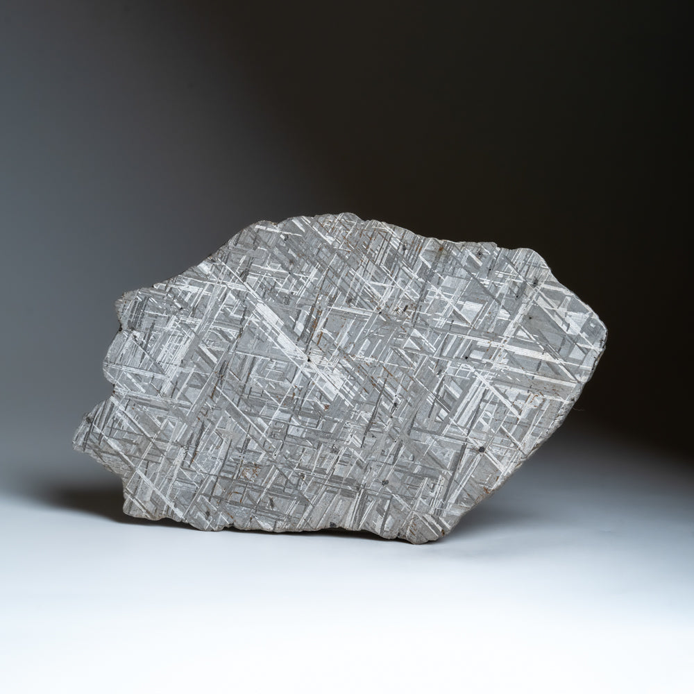 Genuine Muonionalusta Meteorite Slice (394 grams) by Astro Gallery of Gems - main product image for Resin Society