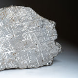 Genuine Muonionalusta Meteorite Slice (394 grams) by Astro Gallery of Gems - product image 5 for Resin Society