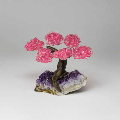 Genuine Rose Quartz Clustered Gemstone Tree on Amethyst Matrix (The Love Tree) with pink clustered leaves and purple crystal base
