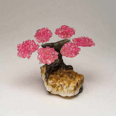 Small Rose Quartz clustered gemstone tree with faux trunk on a Citrine matrix