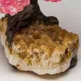 Small Rose Quartz Clustered Gemstone Tree on Citrine Matrix