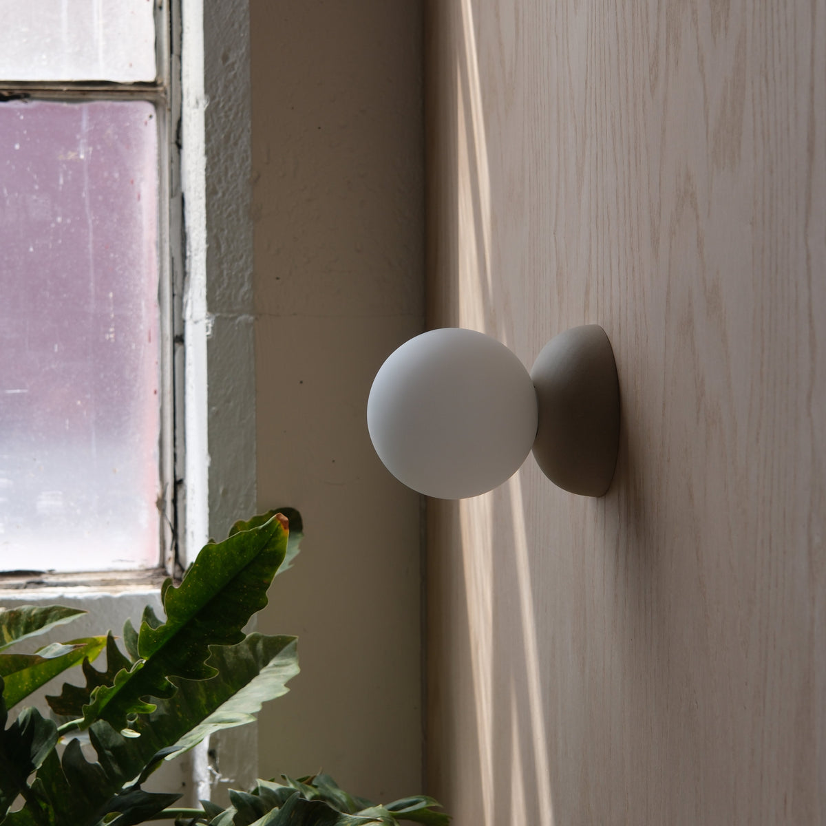 Matte beige spherical wall sconce mounted on light wood panel, with green leaves and window casting soft natural light nearby.