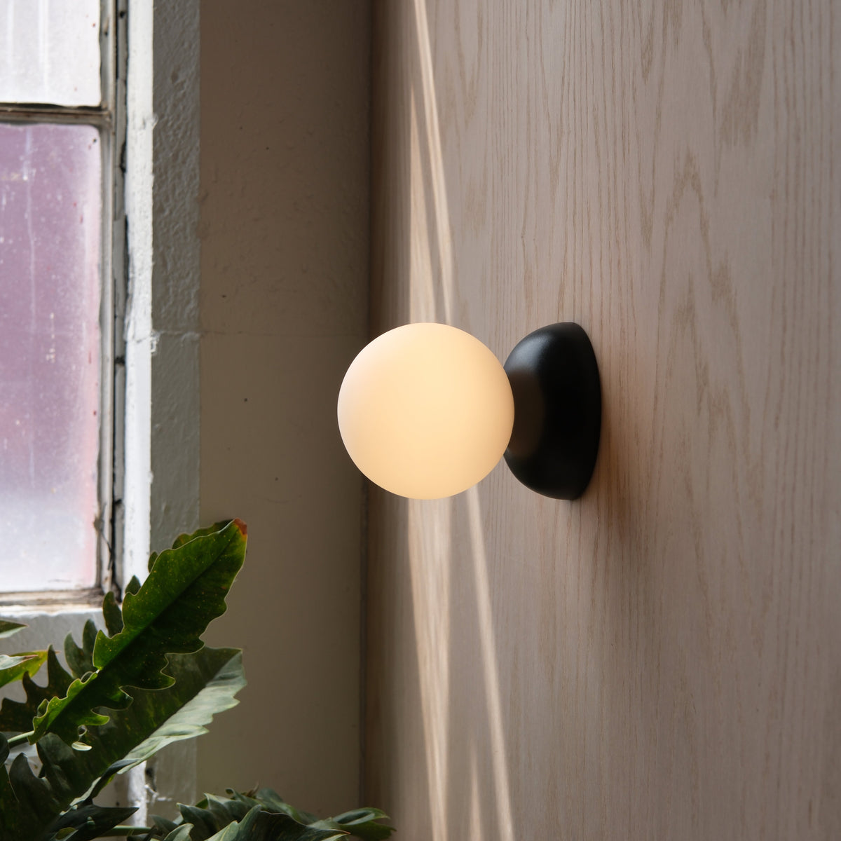 Wall-mounted sconce with a round frosted glass globe and matte black base, casting soft light against a wood-paneled wall near an old window with visible plant leaves.