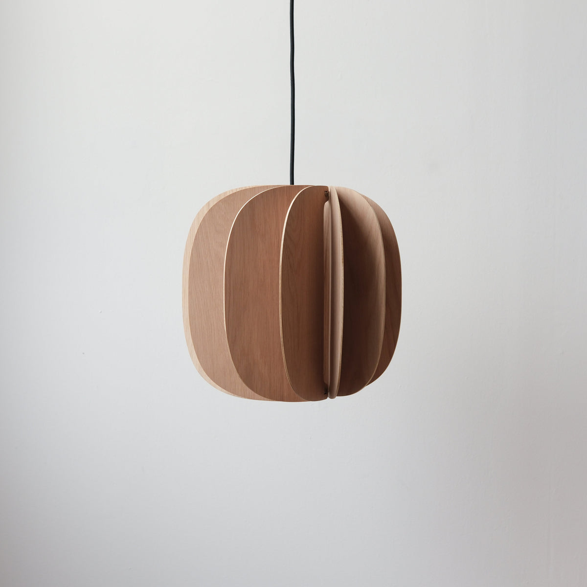 Fin II Pendant by Misewell - product image 3 for Resin Society