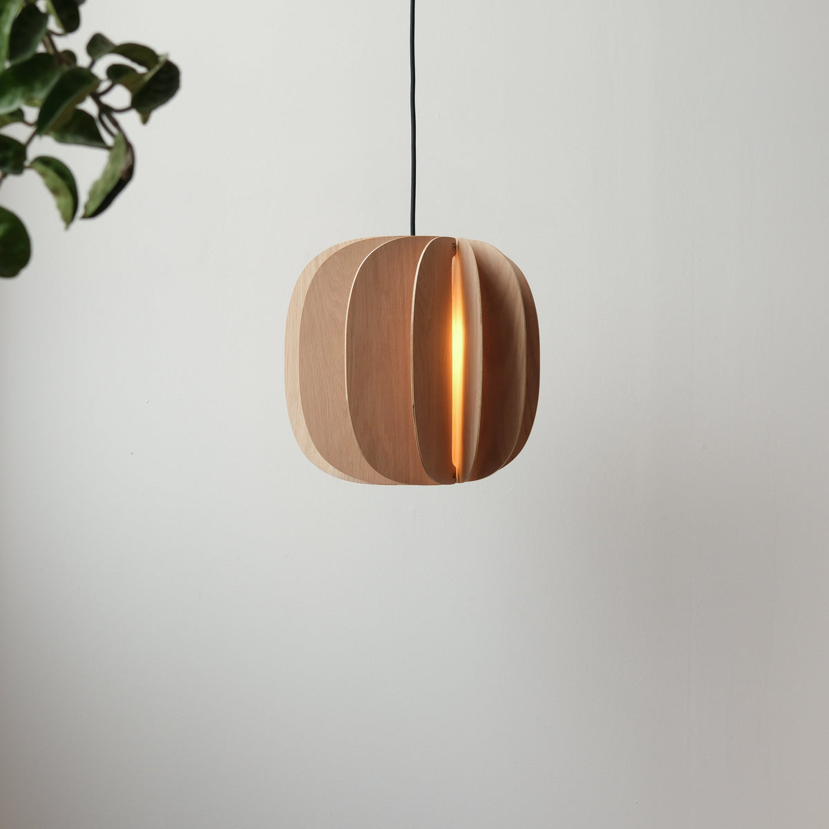 Fin II Pendant by Misewell - product image 2 for Resin Society