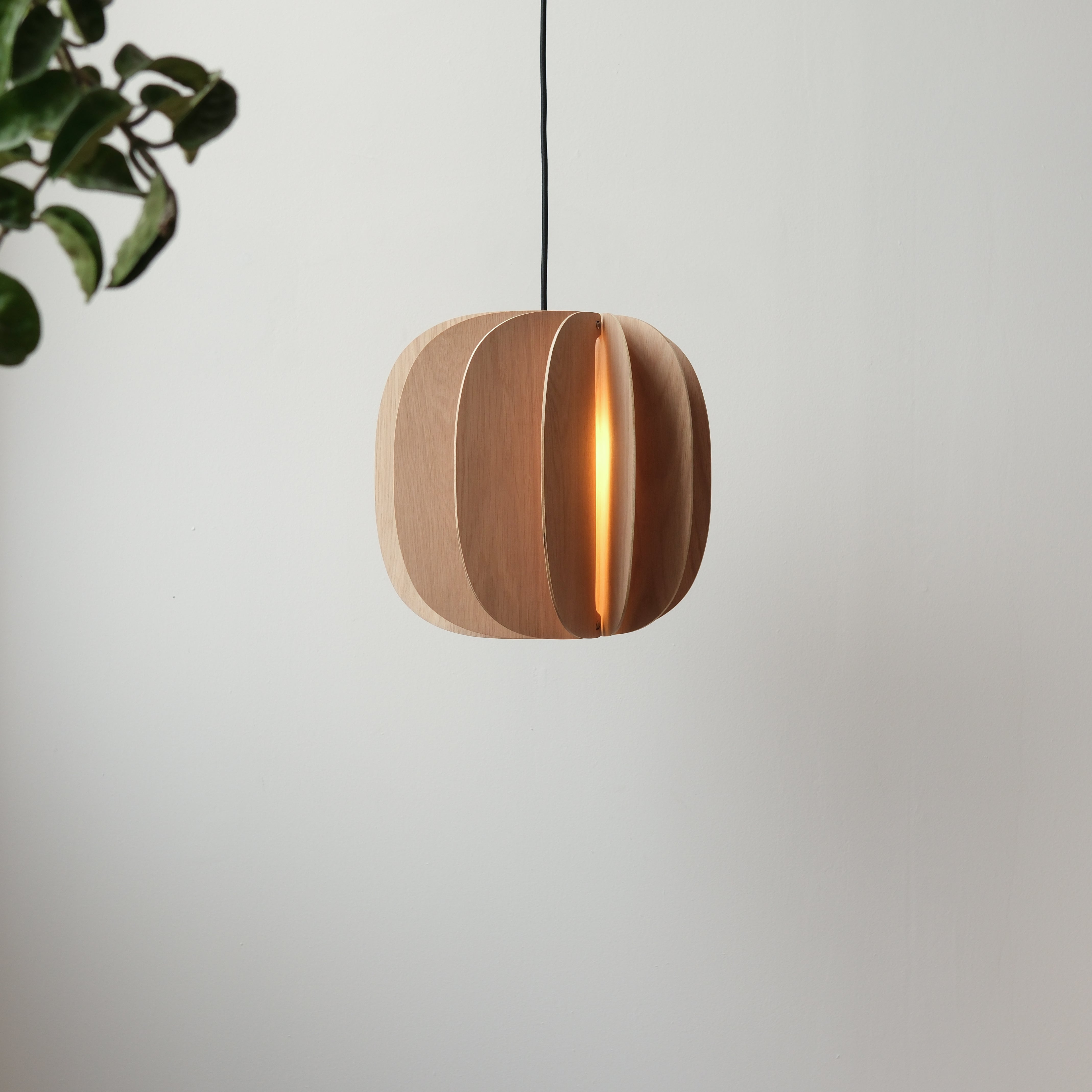 Fin II Pendant by Misewell - product image 2 for Resin Society