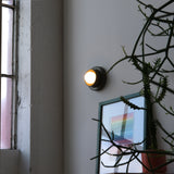 Round wall sconce with a warm glowing bulb mounted on a gray wall above a framed colorful abstract print, with a spiky green plant in foreground and a tall window beside it.
