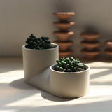 White ceramic double planter with two cylindrical pots connected by a horizontal base, each holding a small green succulent, shown in soft natural light.