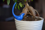 Glossy blue ceramic bird-shaped ring holder perched on the edge of a white ribbed ceramic plant pot containing a leafy bonsai tree with exposed roots.