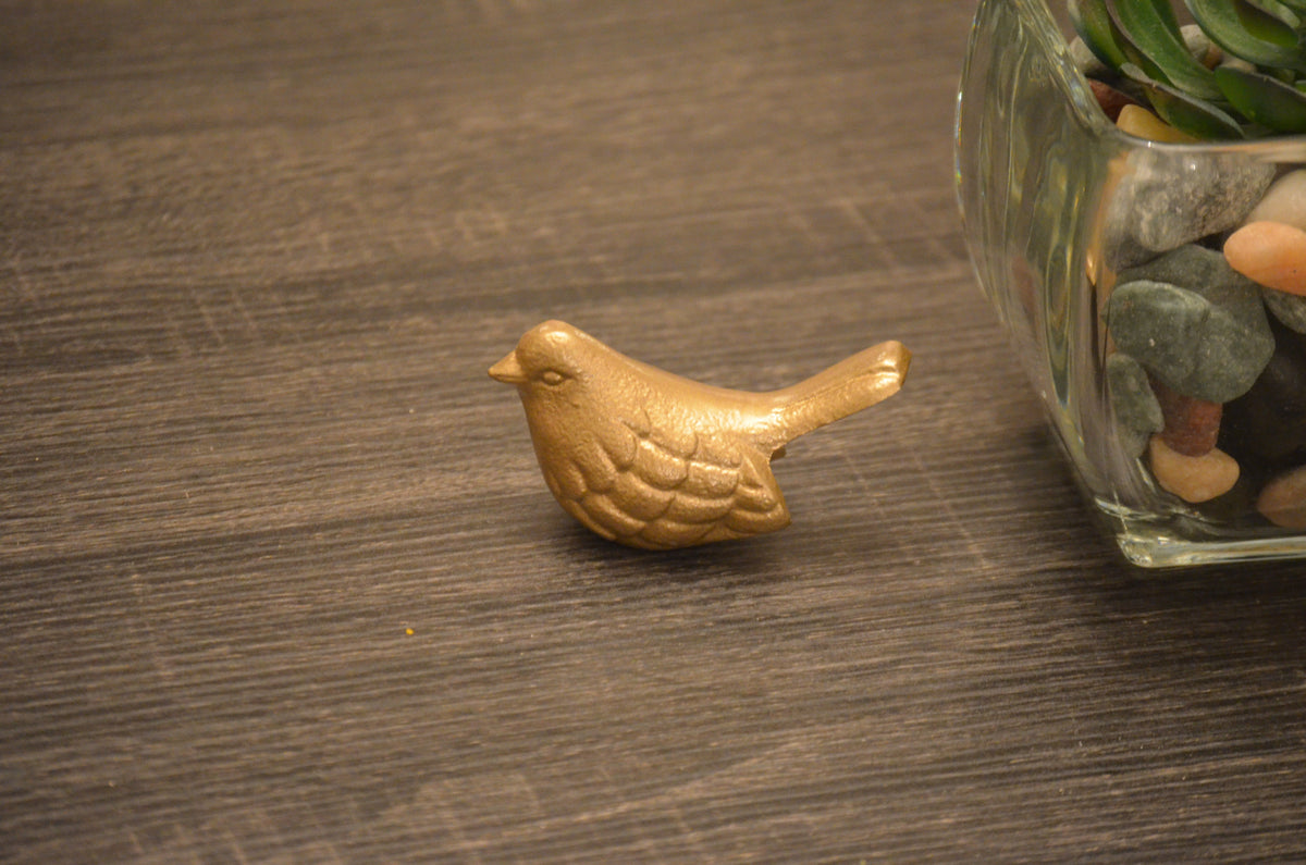 Small golden bird figurine with textured wing details placed on a dark wooden surface next to a glass container holding pebbles and a succulent plant.