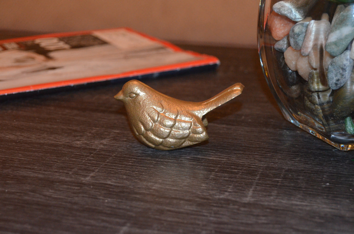 Small bronze bird figurine with textured feather detailing resting on a dark wooden surface, nearby glass vase filled with light-colored stones in soft focus.