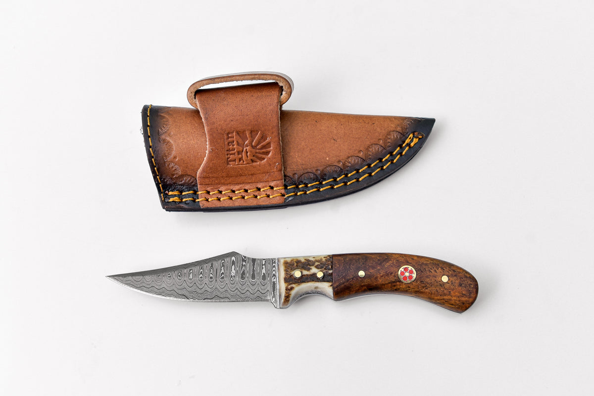 Damascus Steel Skinner Knife with stag horn and walnut grip by Titan Td-340 displayed on leather surface