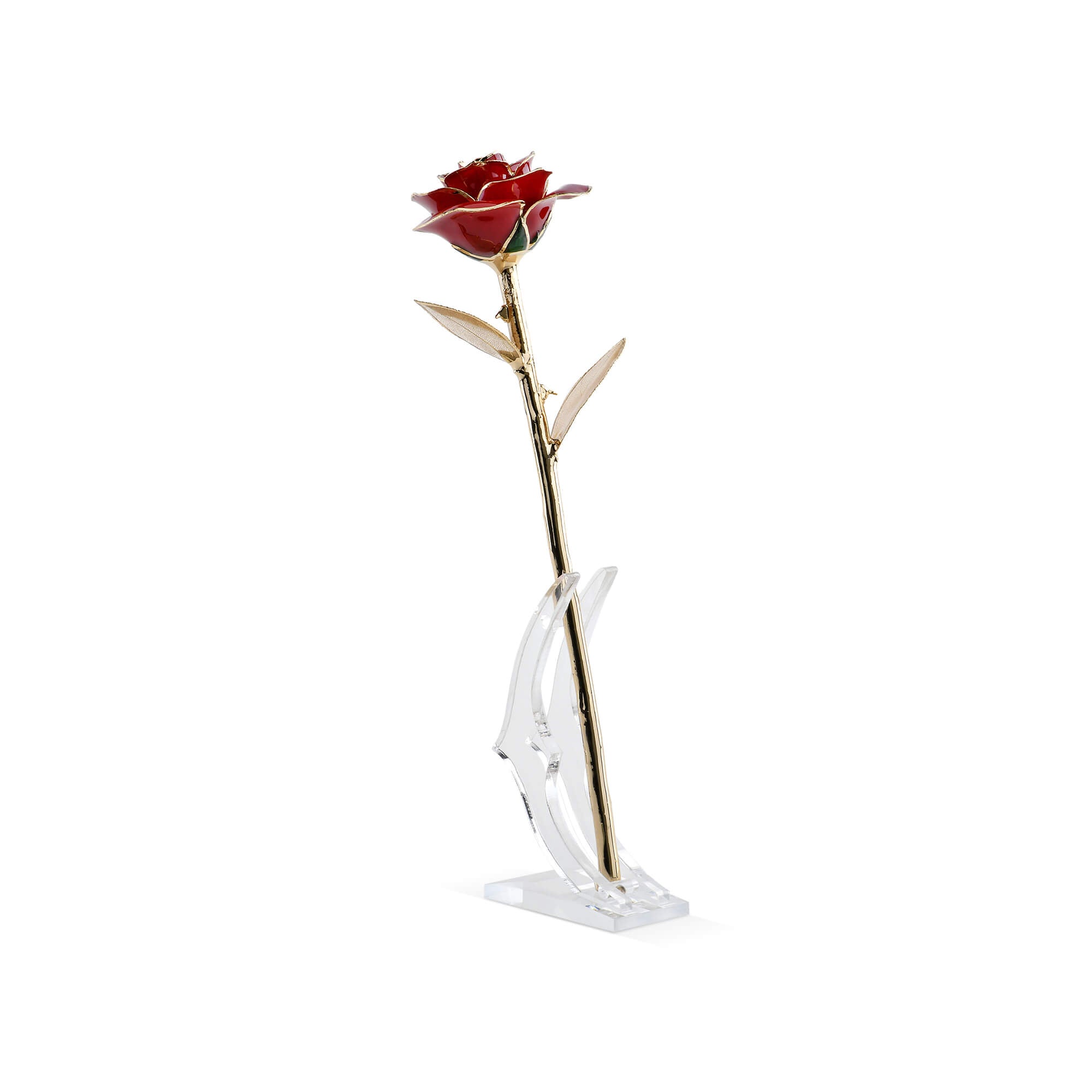 Timeless Rose (Dark Red) by ROSEPHORIA - main product image for Resin Society