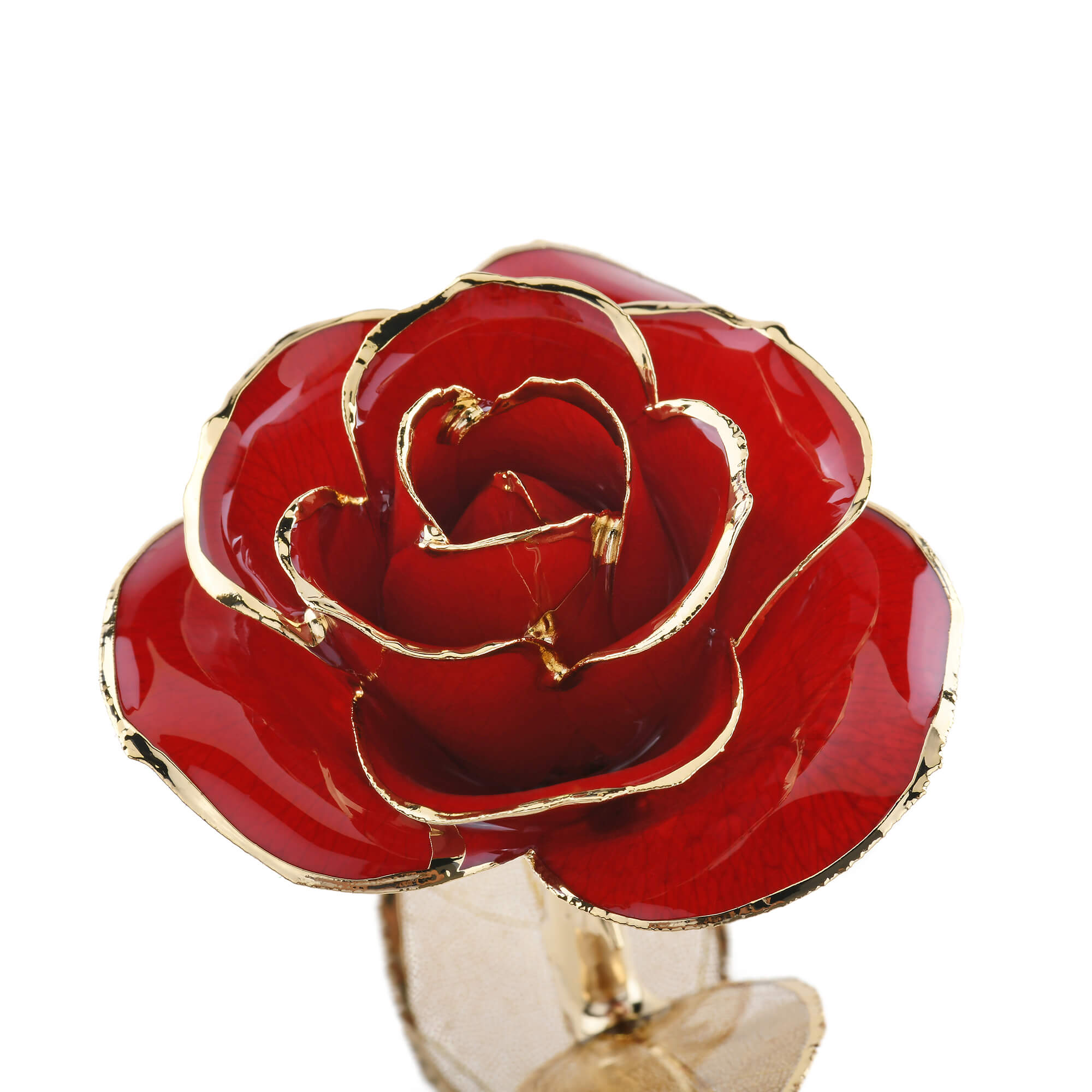 Timeless Rose (Dark Red) by ROSEPHORIA - product image 3 for Resin Society