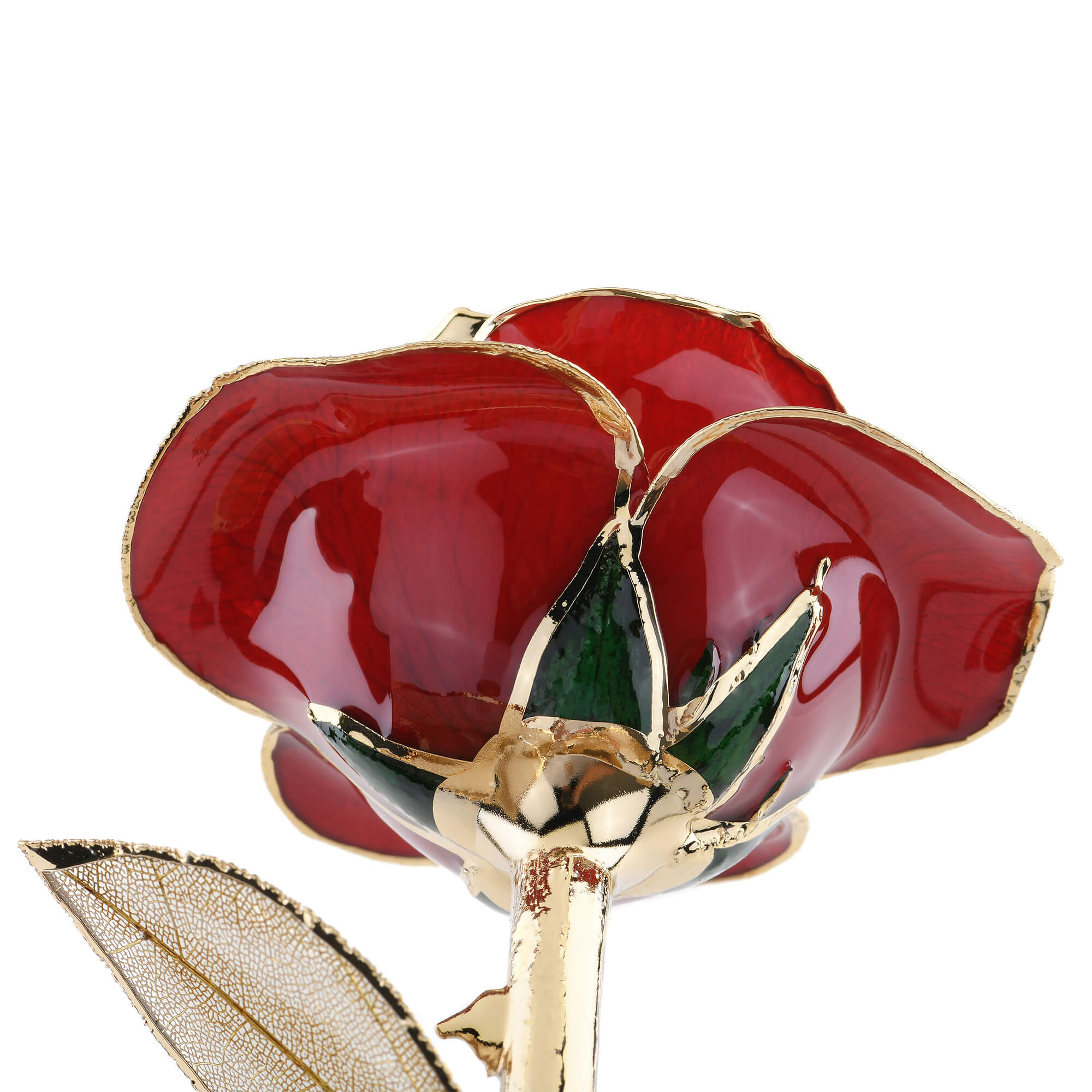 Timeless Rose (Dark Red) by ROSEPHORIA - product image 4 for Resin Society