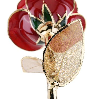 Timeless Rose (Dark Red) by ROSEPHORIA - product image 5 for Resin Society