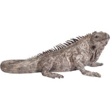 Deco Object Iguana 135cm by DEKOR - main product image for Resin Society