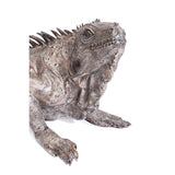 Deco Object Iguana 135cm by DEKOR - product image 10 for Resin Society
