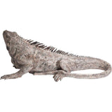 Deco Object Iguana 135cm by DEKOR - product image 7 for Resin Society