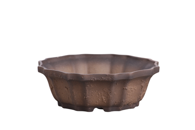 Willow Bonsai Ceramics Flower Design Bonsai Pot textured unglazed surface with drainage holes