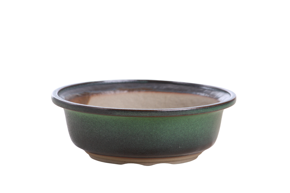 Willow Bonsai 7 inch round ceramic bonsai pot in avocado with accentuated rim and sculpted foot ring
