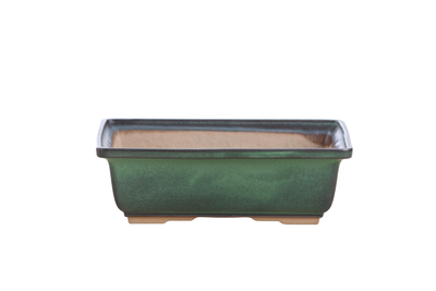 Willow Bonsai Ceramics 8-inch rectangular bonsai pot in avocado glaze, with accentuated rim and foot design