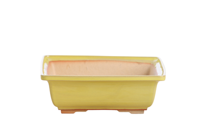 Yellow low-profile square ceramic bonsai pot with accentuated rim and two-step foot design